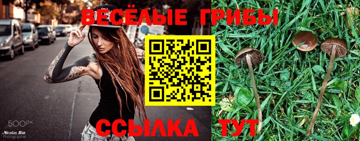 Галлюциногенные грибы Psilocybe Верхняя Салда